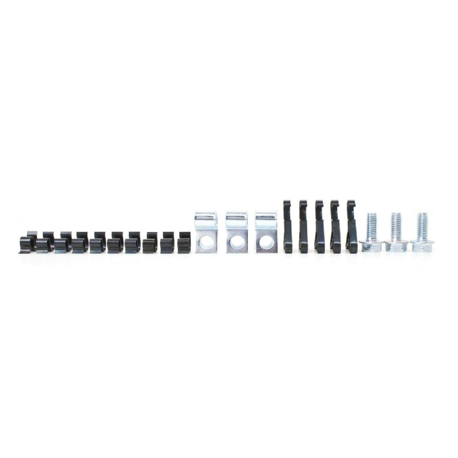 The Right Stuff 1971-74 Mopar B-Body, 3/8 x 1/4, 21-Piece Fuel Line Clip Set - (BCS019)